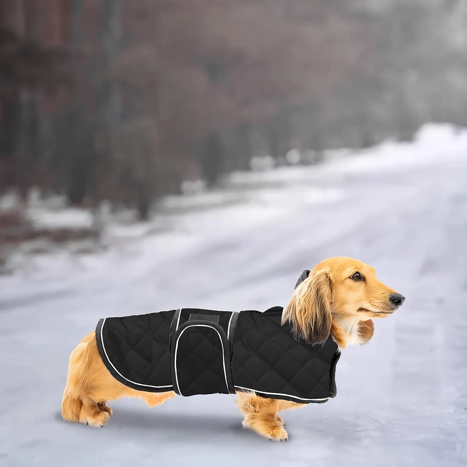 Waterproof Dog Coat for Dachshunds - All-Season Reflective Safety Pet Jacket with Polyester Filling, Machine Washable, Easy Clean, Adjustable Secure Fit for Small to Large Breeds